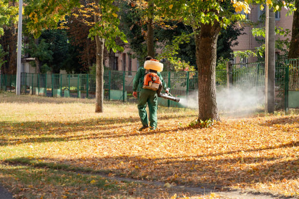 Best Pest Prevention Services  in Jefferson, LA