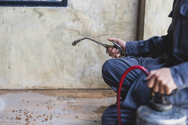 Best Wasp Removal Services  in Jefferson, LA